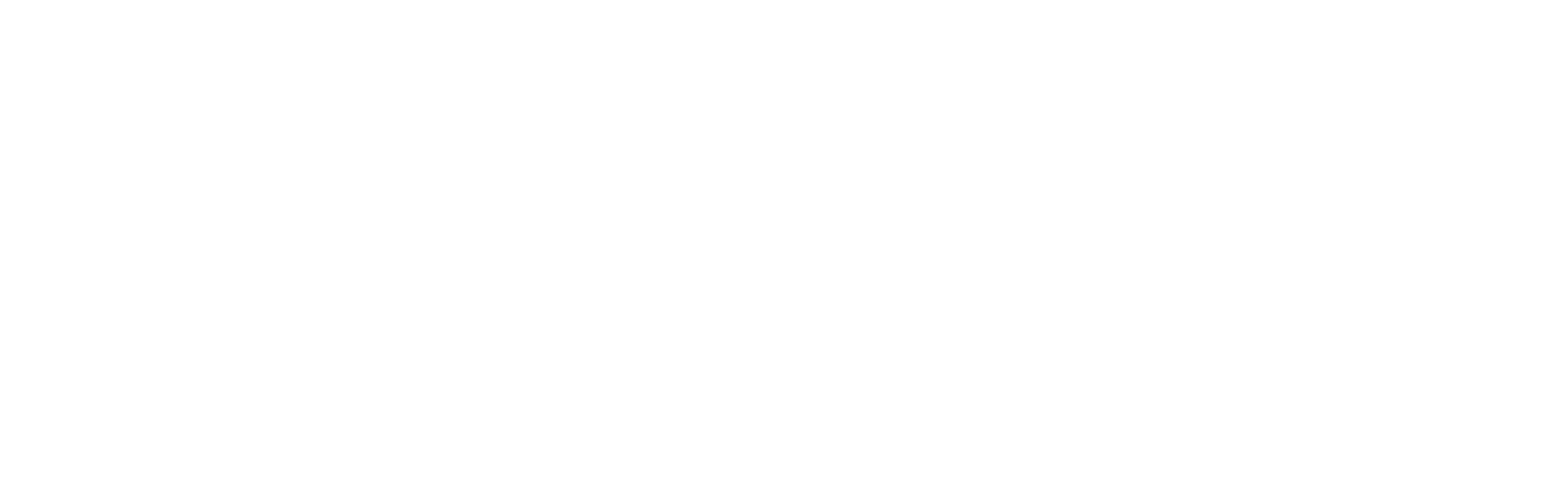 Scoundrel's Field Guide