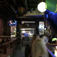 Vic's Kangaroo Cafe - New Orleans Dive Bar - Beer Selection