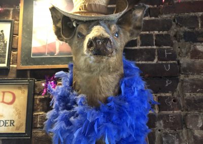 Doc Holliday's - New York Dive Bar - Animal Head