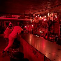 Snake & Jake Christmas Club Lounge - New Orleans Dive Bar - Inside
