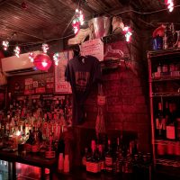 Snake & Jake Christmas Club Lounge - New Orleans Dive Bar - Bar Area