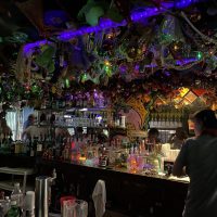 Mayfair Lounge - New Orleans Dive Bar - Bar Area