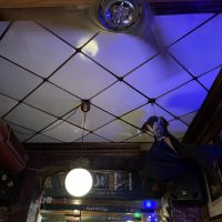 The Moose - Copenhagen Dive Bar - Vampire