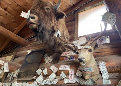 Bucksnort Saloon - Colorado Dive Bar - Taxidermy