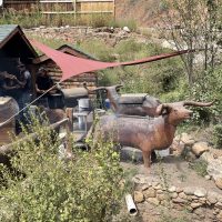 Bucksnort Saloon - Colorado Dive Bar - Barbecue Pit