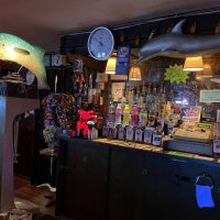 Dolphin Lounge - Columbus Dive Bar - Behind Bar