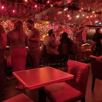 The Lazy Diamond - Asheville Dive Bar - Christmas Lights