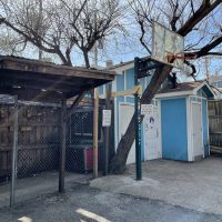 The Grapevine Bar - Dallas Dive Bar - Basketball Hoop