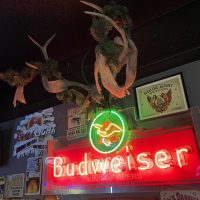 The Mushroom Lounge - Sacramento Dive Bar - Antlers