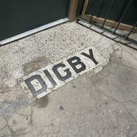 Nancy Whiskey Pub - Detroit Dive Bar - Digby Mosaic