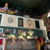 The Village Idiot - Toledo Dive Bar - Ceiling