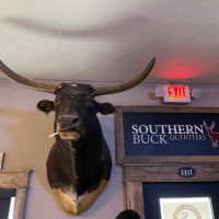 Sisterdale Saloon - Sisterdale Texas Dive Bar - Bull