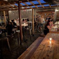 Bovine Sex Club - Toronto Dive Bar - Tiki Patio