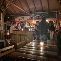 Bovine Sex Club - Toronto Dive Bar - Tiki Patio