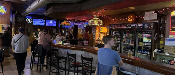 Bridgeport Inn - Chicago Dive Bar - Interior