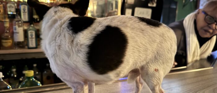 Nilda's Place - Chicago Dive Bar - Interior