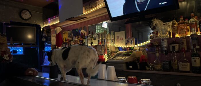 Nilda's Place - Chicago Dive Bar - Interior